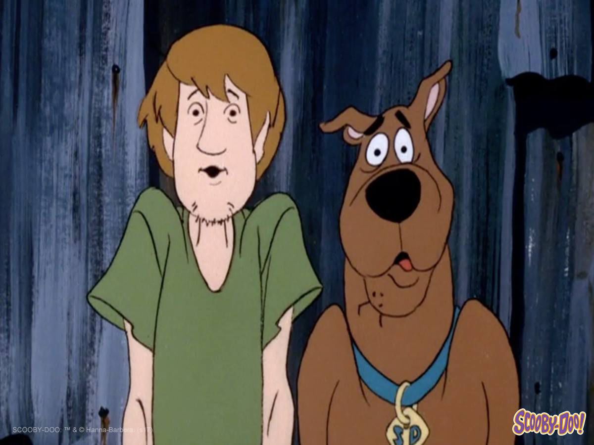 Shaggy Rodgers